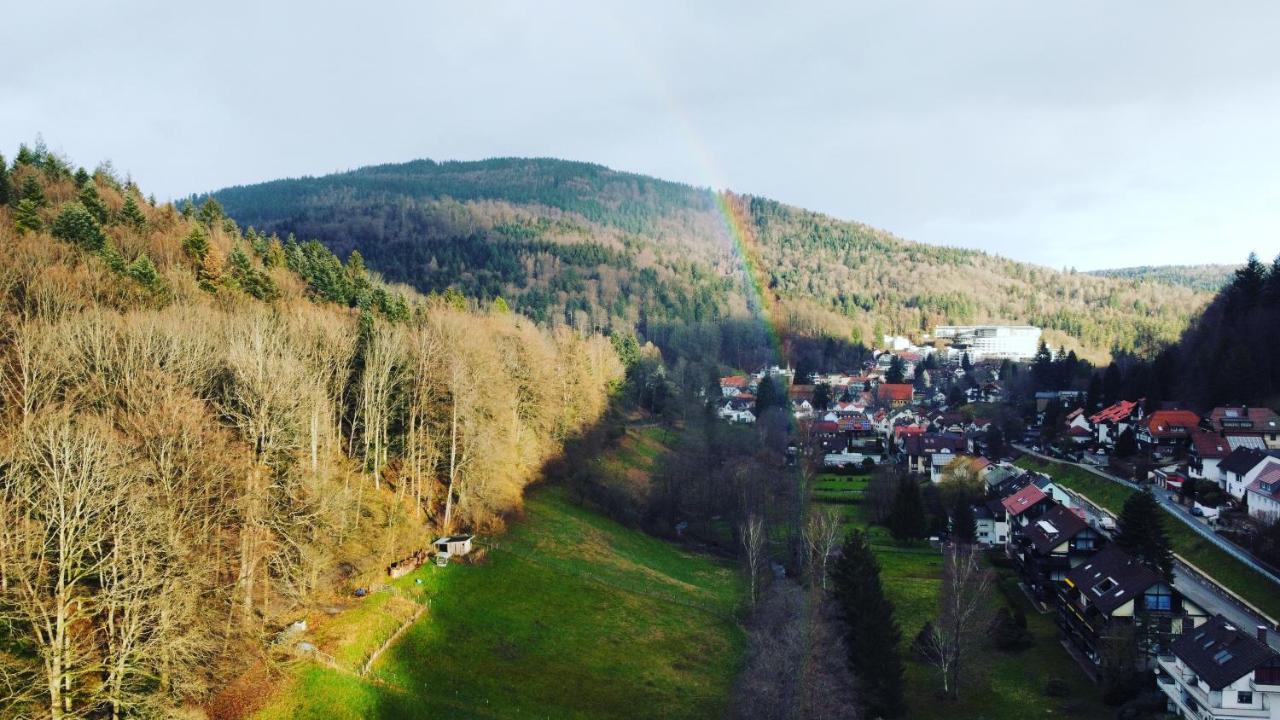 Black Forest Apartment Bad Herrenalb Exteriér fotografie